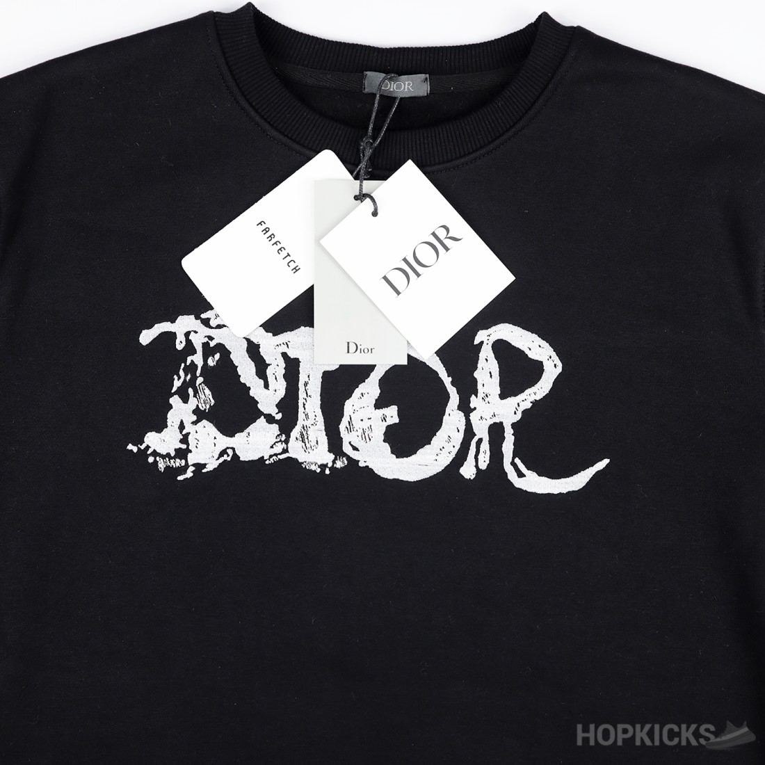 Dior X Peter Doig Sweatshirt Dior X Peter Doig Sweatshirt